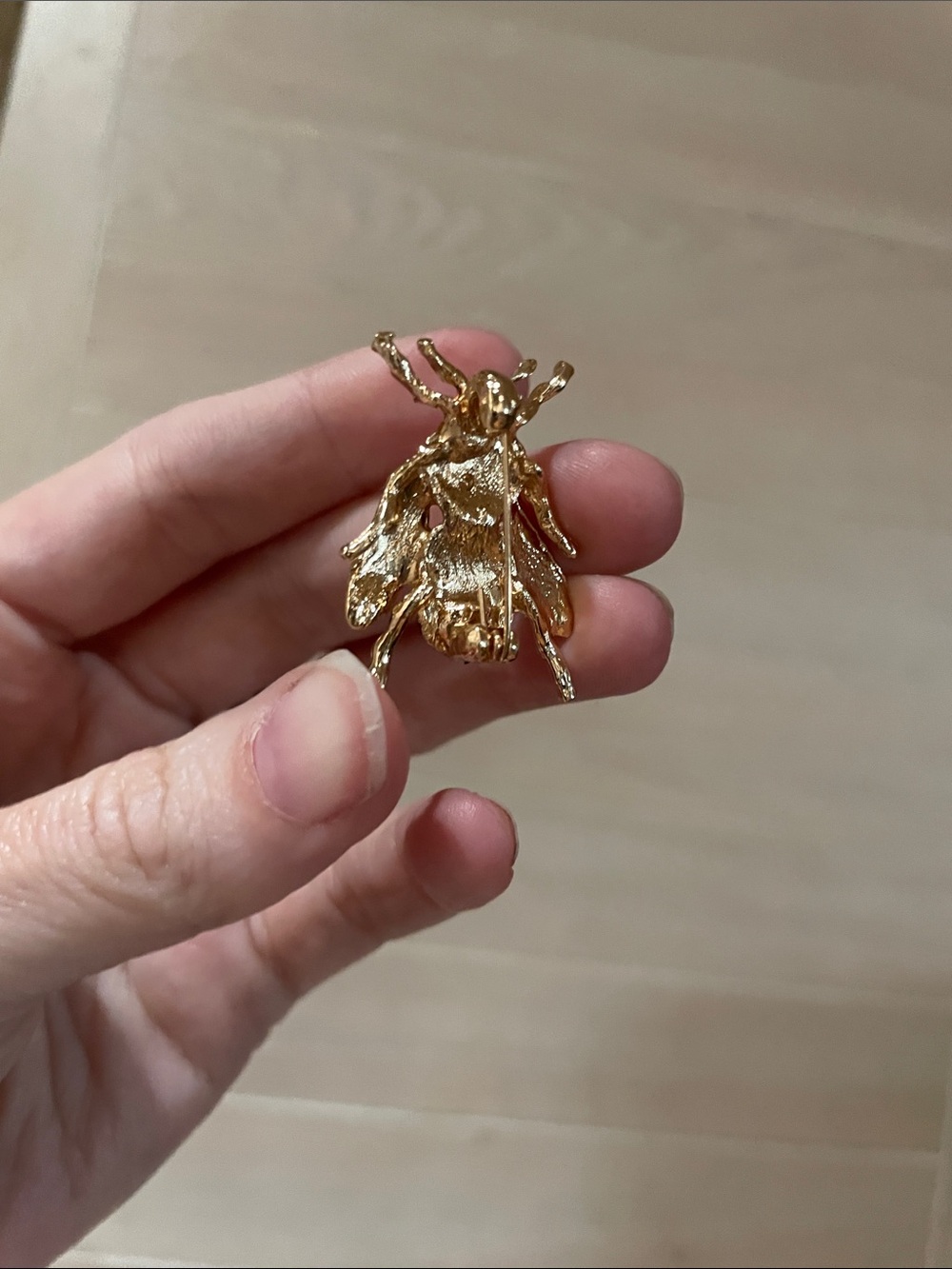 Insect Brooch - Picture 2 of 3